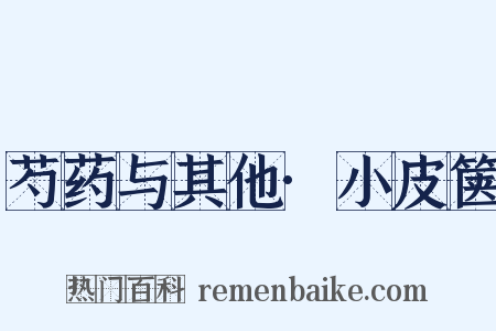 芍药与其他·小皮箧是什么意思的图片